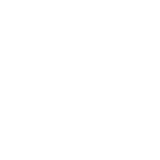 Logo GGDD 2025 blanco